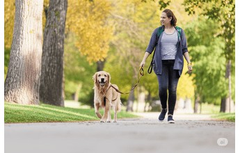 Dog walker with a happy dog